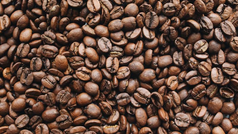 Jenis Biji Kopi Arabika