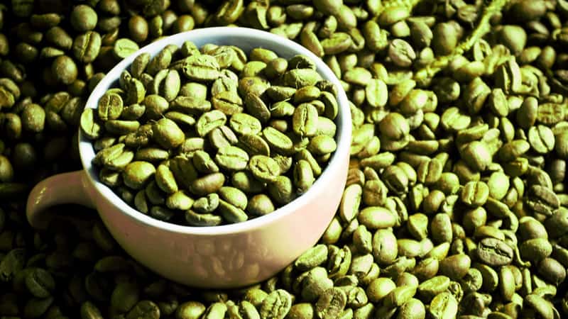 Jenis Biji Kopi Excelsa