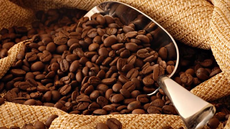 Jenis Biji Kopi Liberika