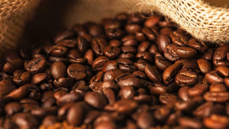 Jenis Biji Kopi Robusta
