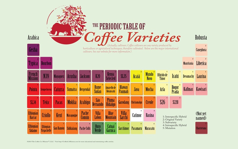 Tabel Periodik Varietas Kopi